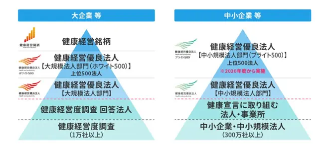 健康経営優良法人評価図